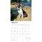 Show in main carousel: Boston Terriers 2026 Square Flap Wall Calendar slide 3 of 4