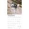 Show in main carousel: Siberian Huskies 2026 Square Flap Wall Calendar slide 4 of 4
