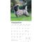 Show in main carousel: Cairn Terriers 2026 Square Flap Wall Calendar slide 4 of 4