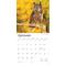 Show in main carousel: Owls 2026 Square Flap Wall Calendar slide 4 of 4