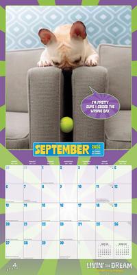 Show full view: Avanti Livin' the Dream 2026 Square Flap Foil Wall Calendar slide 4 of 4