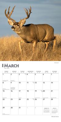 Show full view: Monster Bucks 2026 Square Flap Wall Calendar slide 3 of 4