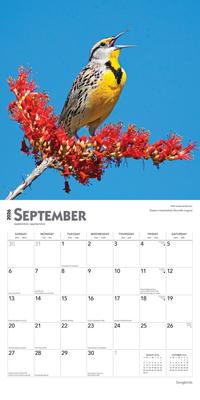 Show full view: Songbirds 2026 Square Flap Foil Wall Calendar slide 4 of 4
