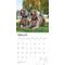 Show in main carousel: Weimaraners 2026 Square Flap Wall Calendar slide 3 of 4