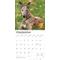 Show in main carousel: Greyhounds 2026 Square Flap Wall Calendar slide 4 of 4