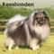 Show in main carousel: Keeshonden 2026 Square Flap Wall Calendar slide 1 of 4