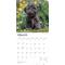 Show in main carousel: Shih Tzu 2026 Square Flap Wall Calendar slide 3 of 4