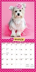 Puppies in Pink 2026 Square Flap Wall Calendar slide 2 of 4