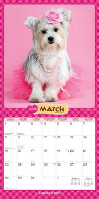 Show full view: Puppies in Pink 2026 Square Flap Wall Calendar slide 3 of 4