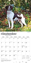 Brittanys 2026 Square Flap Wall Calendar slide 2 of 4