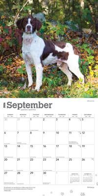 Show full view: Brittanys 2026 Square Flap Wall Calendar slide 4 of 4