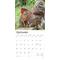 Show in main carousel: Roosters 2026 Square Flap Wall Calendar slide 4 of 4