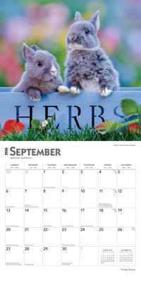 Show full view: Honey Bunny 2026 Square Flap Wall Calendar slide 4 of 4