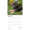 Show in main carousel: German Shepherd Puppies 2026 Square Flap Wall Calendar slide 3 of 4