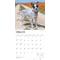 Show in main carousel: Australian Cattle Dogs 2026 Square Flap Wall Calendar slide 3 of 4