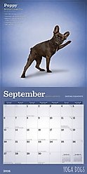 Yoga Dogs 2026 Square Flap Wall Calendar slide 2 of 4