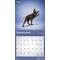 Show in main carousel: Yoga Dogs 2026 Square Flap Wall Calendar slide 4 of 4