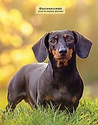 Dachshunds 2026 Engagement Calendar