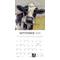 Show in main carousel: Barnyard Friends 2026 Square Flap Hopper Wall Calendar slide 4 of 4