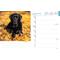 Show in main carousel: Labrador Retrievers Black 2026 Engagement Calendar slide 3 of 4