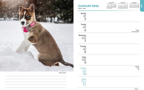 Show full view: Puppies, I Love 2026 Engagement Calendar slide 3 of 4