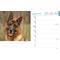 Show in main carousel: German Shepherds 2026 Engagement Calendar slide 3 of 4