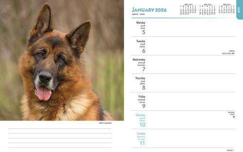Show full view: German Shepherds 2026 Engagement Calendar slide 3 of 4