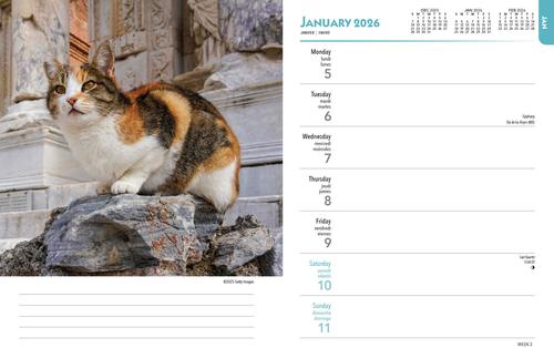 Show full view: Cat Lovers 2026 Engagement Calendar slide 3 of 4