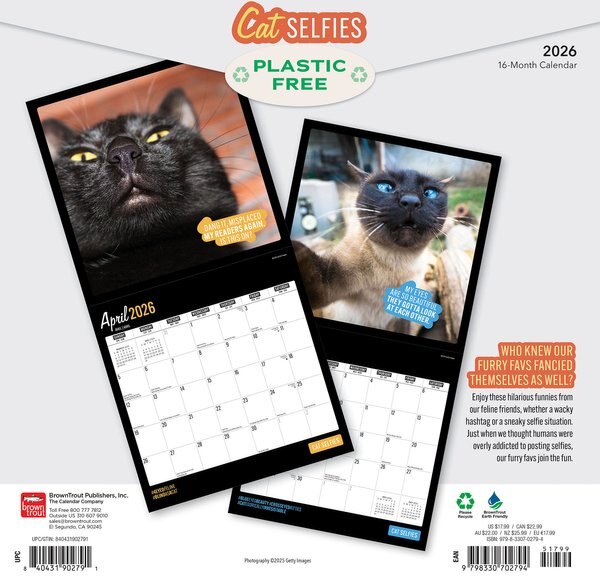 Ginger Cats 2026 Square Flap Wall Calendar