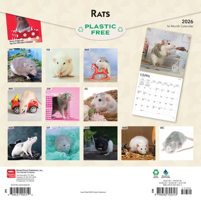 Show full view: Rats 2026 Square Flap Wall Calendar slide 2 of 4