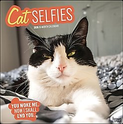 Cat Selfies 2026 Square Flap Wall Calendar