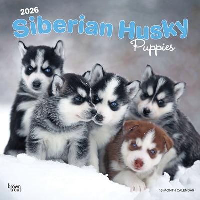 Show full view: Siberian Husky Puppies 2026 Square Flap Wall Calendar slide 1 of 4