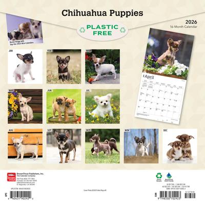 Show full view: Chihuahua Puppies 2026 Square Flap Wall Calendar slide 2 of 4