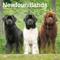 Show in main carousel: Newfoundlands 2026 Square Flap Wall Calendar slide 1 of 4