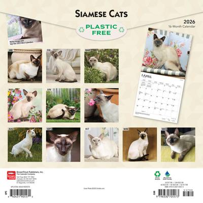 Show full view: Siamese Cats 2026 Square Flap Wall Calendar slide 2 of 4