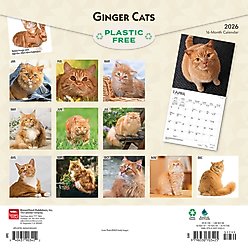Ginger Cats 2026 Square Flap Wall Calendar slide 2 of 4