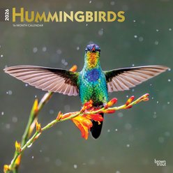 Hummingbirds 2026 Square Flap Foil Wall Calendar slide 1 of 4