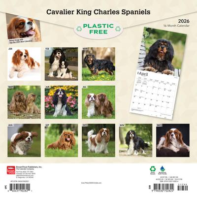 Show full view: Cavalier King Charles Spaniels 2026 Square Flap Wall Calendar slide 2 of 4