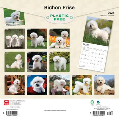 Show full view: Bichon Frise 2026 Square Flap Wall Calendar slide 2 of 4