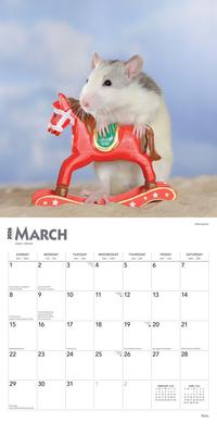 Show full view: Rats 2026 Square Flap Wall Calendar slide 3 of 4