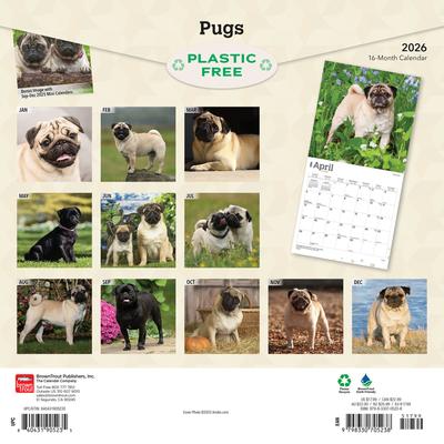 Show full view: Pugs 2026 Square Flap Wall Calendar slide 2 of 4