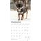 Show in main carousel: Chihuahua Puppies 2026 Square Flap Wall Calendar slide 4 of 4