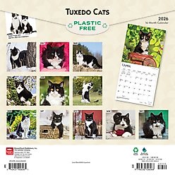 Tuxedo Cats 2026 Square Flap Wall Calendar slide 2 of 4