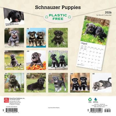 Show full view: Schnauzer Puppies 2026 Square Flap Wall Calendar slide 2 of 4