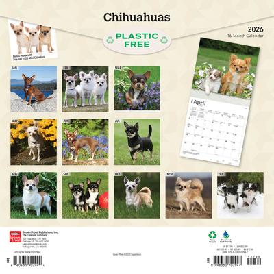Show full view: Chihuahuas 2026 Square Flap Wall Calendar slide 2 of 4