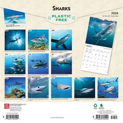 Show full view: Sharks 2026 Square Flap Wall Calendar slide 2 of 4