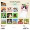 Show in main carousel: Cavalier King Charles Spaniel Puppies 2026 Square Flap Wall Calendar slide 2 of 4