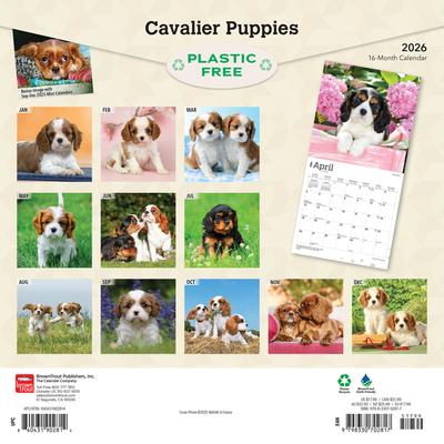 Show full view: Cavalier King Charles Spaniel Puppies 2026 Square Flap Wall Calendar slide 2 of 4