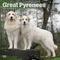 Show in main carousel: Great Pyrenees 2026 Square Flap Wall Calendar slide 1 of 4
