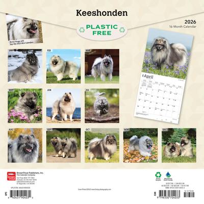 Show full view: Keeshonden 2026 Square Flap Wall Calendar slide 2 of 4